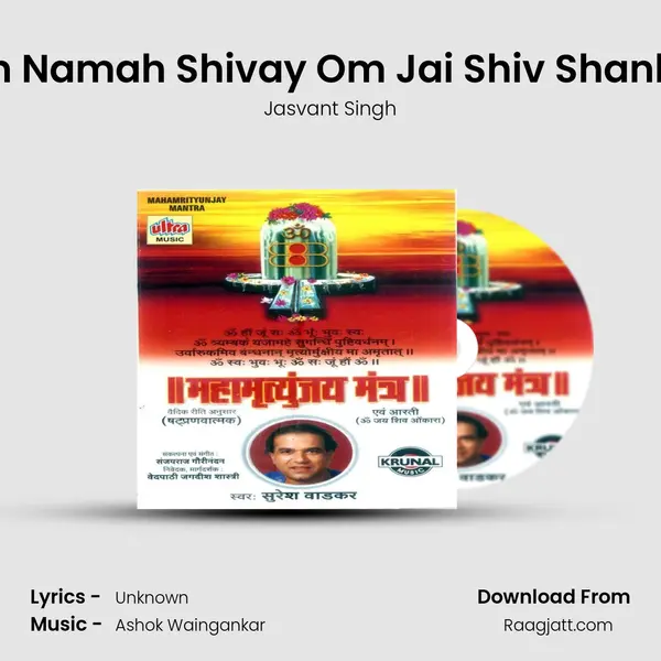 Om Namah Shivay Om Jai Shiv Shankar mp3 song