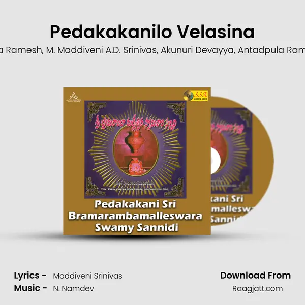 Pedakakanilo Velasina mp3 song