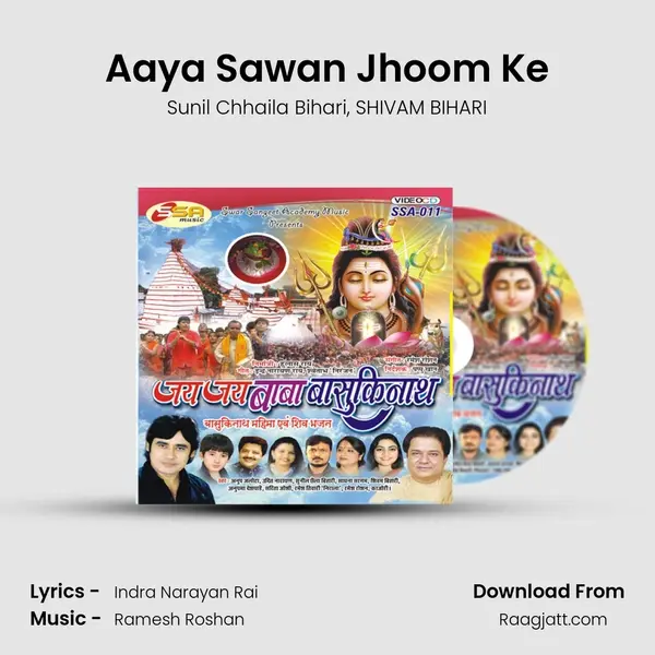 Aaya Sawan Jhoom Ke - Sunil Chhaila Bihari album cover 