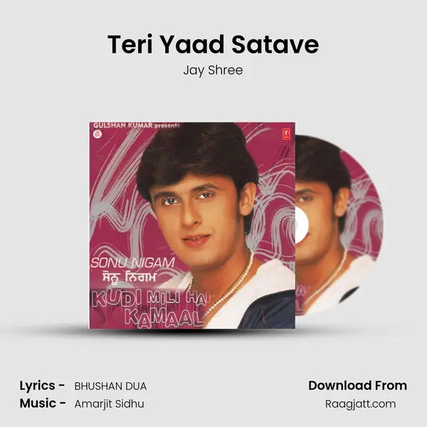 Teri Yaad Satave - Jay Shree album cover 