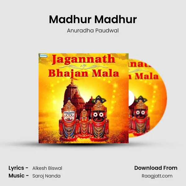 Madhur Madhur - Anuradha Paudwal album cover 