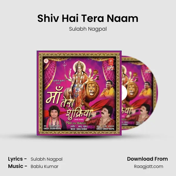 Shiv Hai Tera Naam - Sulabh Nagpal album cover 