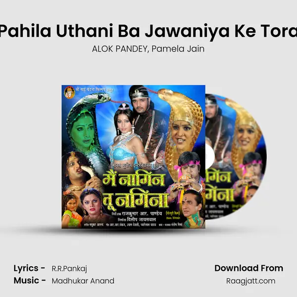 Pahila Uthani Ba Jawaniya Ke Tora - ALOK PANDEY album cover 