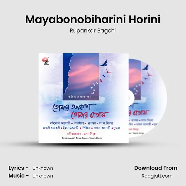 Mayabonobiharini Horini - Rupankar Bagchi album cover 