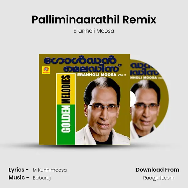 Palliminaarathil Remix mp3 song