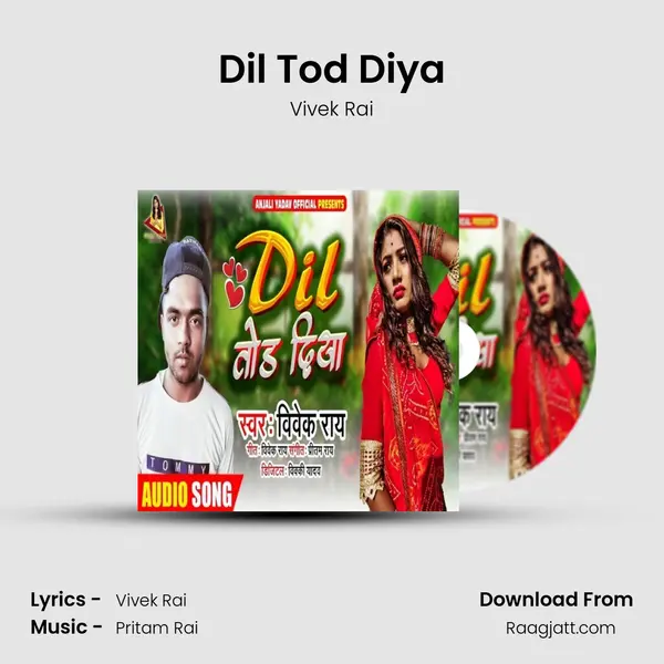 Dil Tod Diya - Vivek Rai album cover 