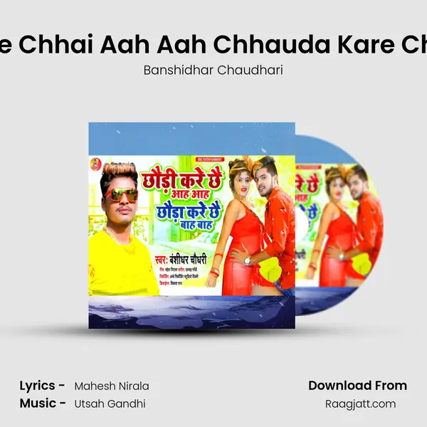 Chhaudi Kare Chhai Aah Aah Chhauda Kare Chhai Bah Bah - Banshidhar Chaudhari album cover 