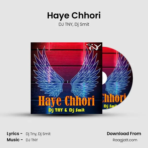 Haye Chhori - DJ TNY album cover 