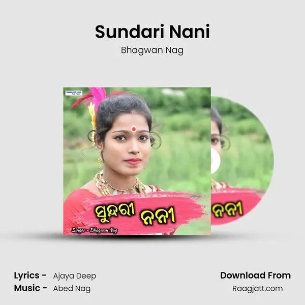 Sundari Nani - Bhagwan Nag album cover 