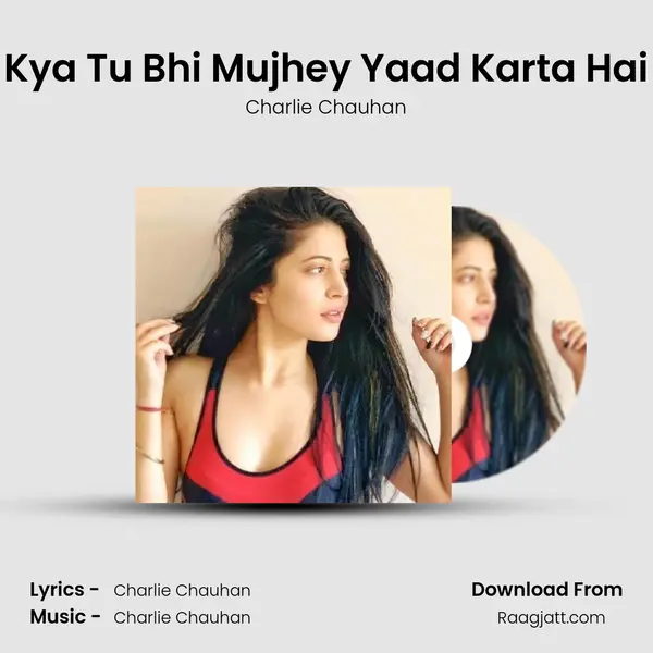 Kya Tu Bhi Mujhey Yaad Karta Hai - Charlie Chauhan album cover 