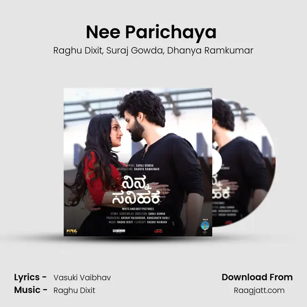 Nee Parichaya (Official Cover Song) - Raghu Dixit album cover 