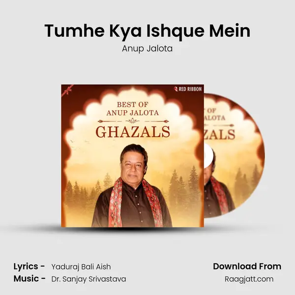 Tumhe Kya Ishque Mein mp3 song