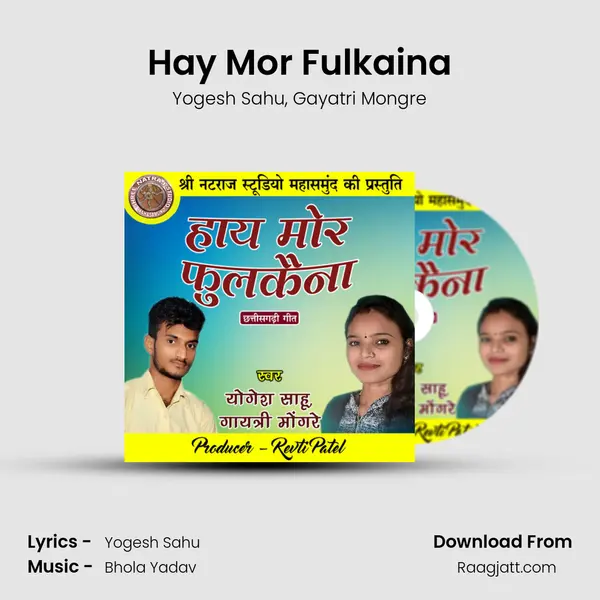 Hay Mor Fulkaina - Yogesh Sahu album cover 