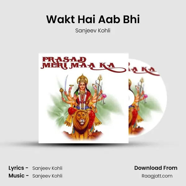 Wakt Hai Aab Bhi - Sanjeev Kohli album cover 