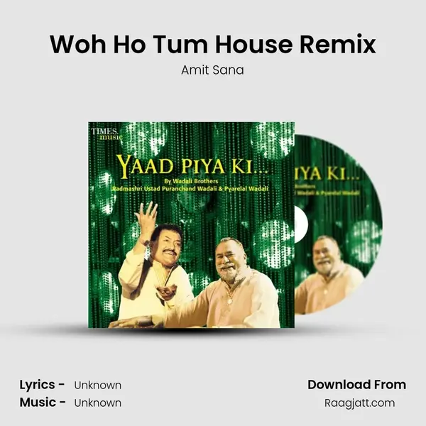 Woh Ho Tum House Remix - Amit Sana album cover 