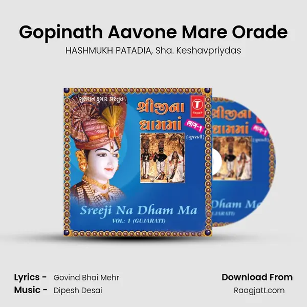 Gopinath Aavone Mare Orade - HASHMUKH PATADIA album cover 