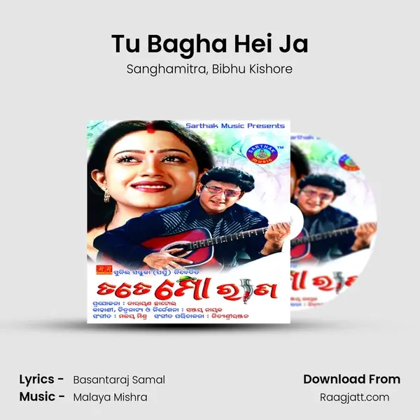 Tu Bagha Hei Ja mp3 song