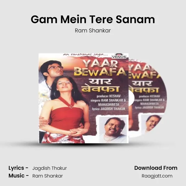 Gam Mein Tere Sanam - Ram Shankar album cover 