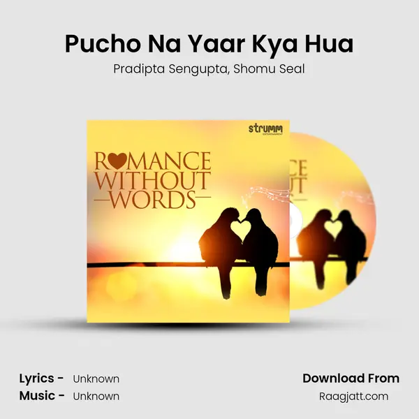 Pucho Na Yaar Kya Hua mp3 song