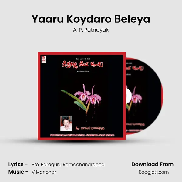 Yaaru Koydaro Beleya - A. P. Patnayak mp3 song