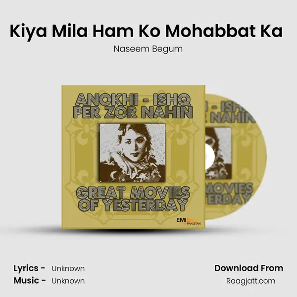 Kiya Mila Ham Ko Mohabbat Ka (From 