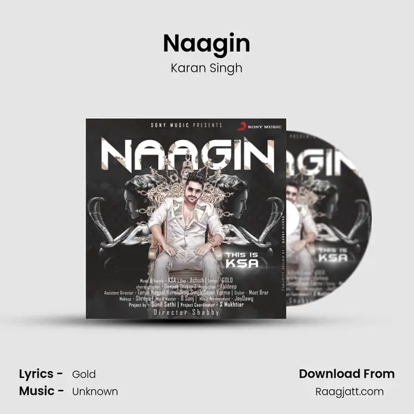 Naagin mp3 song