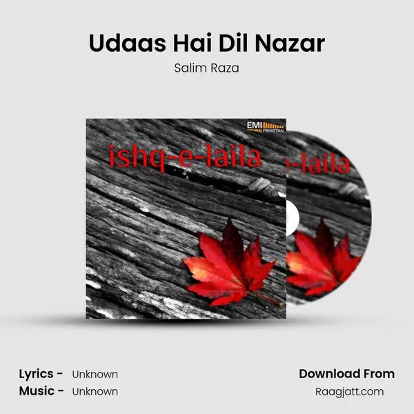 Udaas Hai Dil Nazar mp3 song