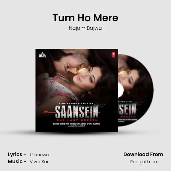 Tum Ho Mere mp3 song