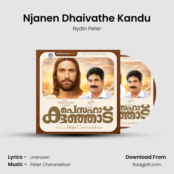 Njanen Dhaivathe Kandu mp3 song