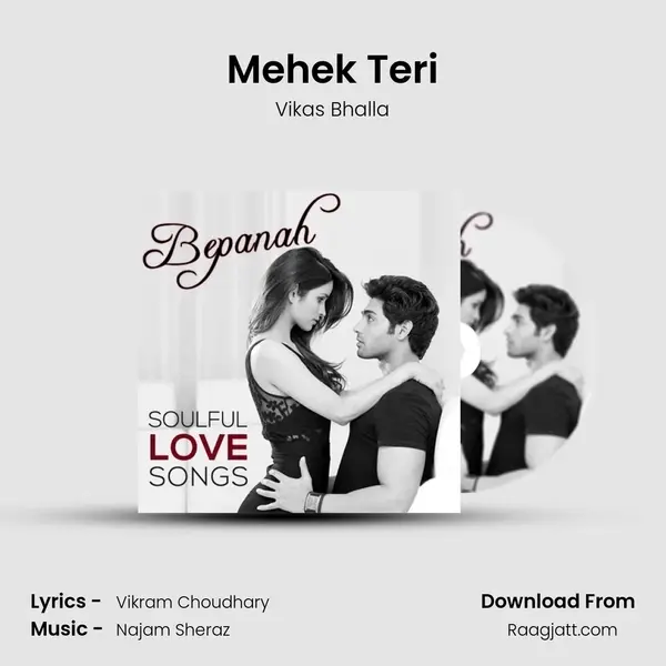 Mehek Teri - Vikas Bhalla album cover 