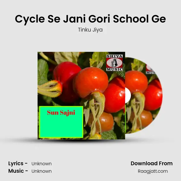 Cycle Se Jani Gori School Ge - Tinku Jiya album cover 