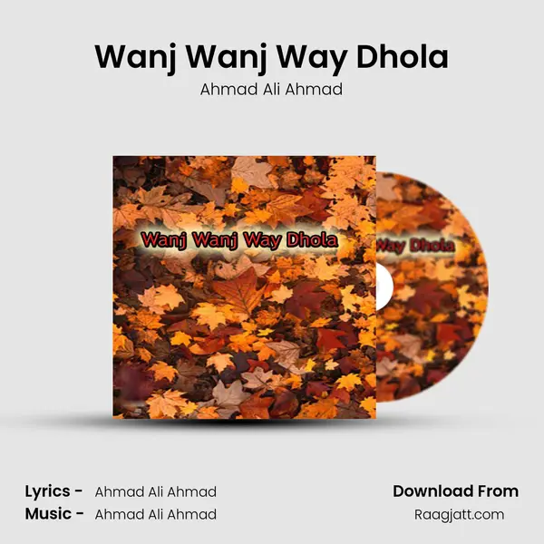 Wanj Wanj Way Dhola - Ahmad Ali Ahmad album cover 