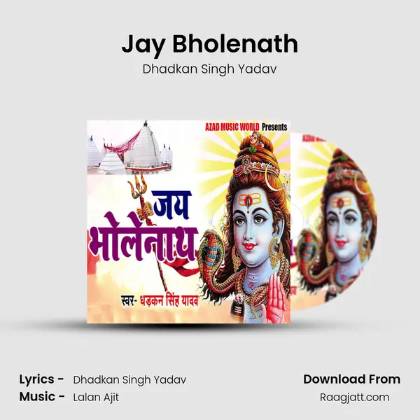 Jay Bholenath - Dhadkan Singh Yadav album cover 