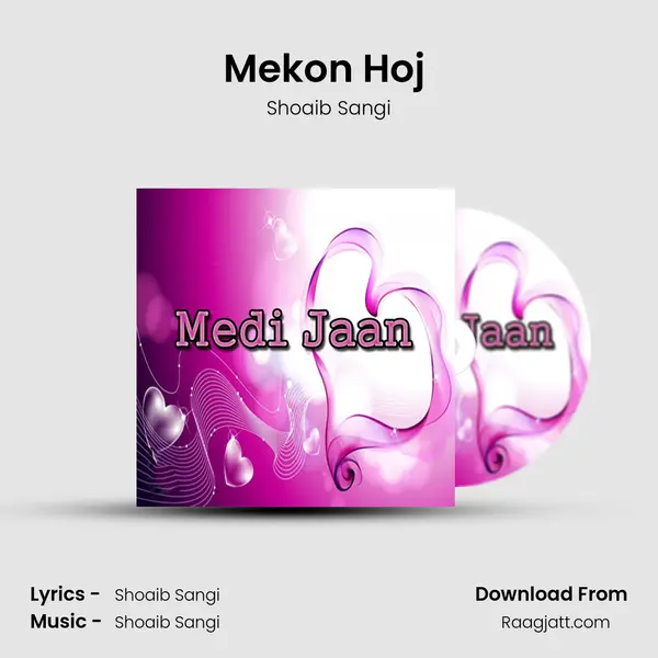 Mekon Hoj (Dohry Hi Dohry) - Shoaib Sangi album cover 