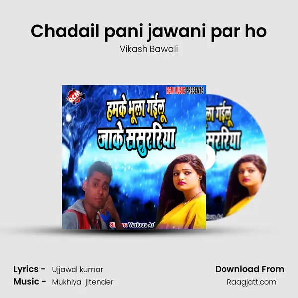 Chadail pani jawani par ho' - Vikash Bawali album cover 