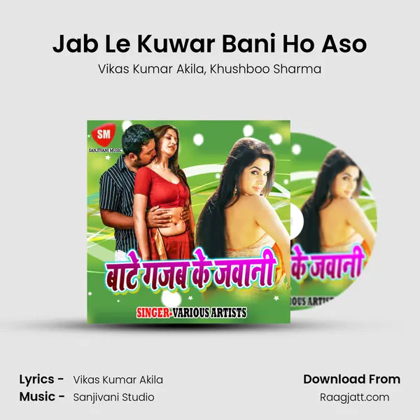 Jab Le Kuwar Bani Ho Aso - Vikas Kumar Akila album cover 