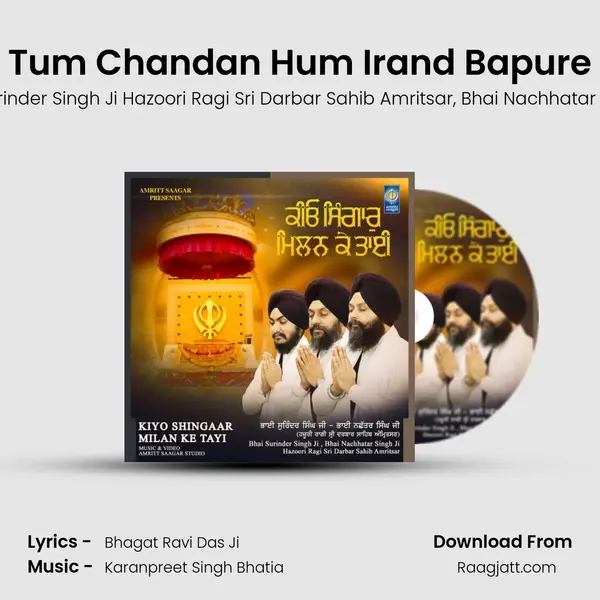 Tum Chandan Hum Irand Bapure - Bhai Surinder Singh Ji Hazoori Ragi Sri Darbar Sahib Amritsar album cover 