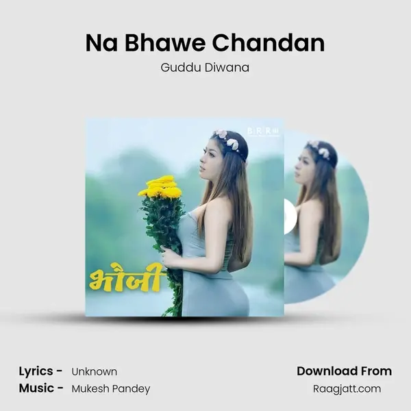 Na Bhawe Chandan - Guddu Diwana album cover 