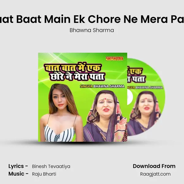 Baat Baat Main Ek Chore Ne Mera Pata - Bhawna Sharma album cover 