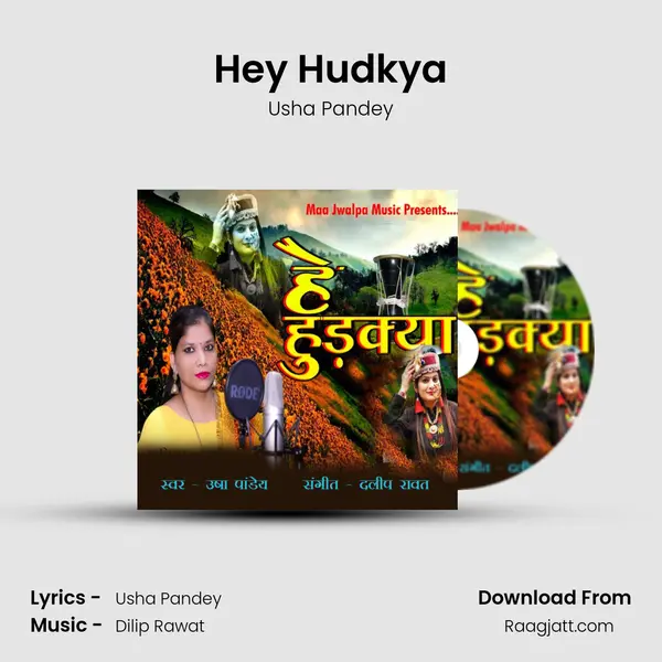 Hey Hudkya - Usha Pandey album cover 