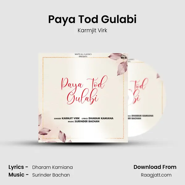 Paya Tod Gulabi mp3 song