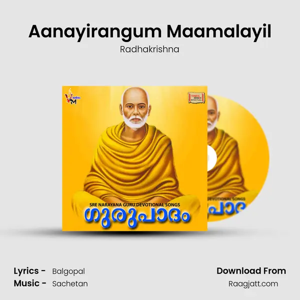 Aanayirangum Maamalayil - Radhakrishna album cover 