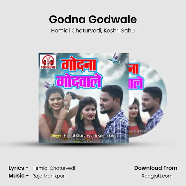 Godna Godwale - Hemlal Chaturvedi album cover 