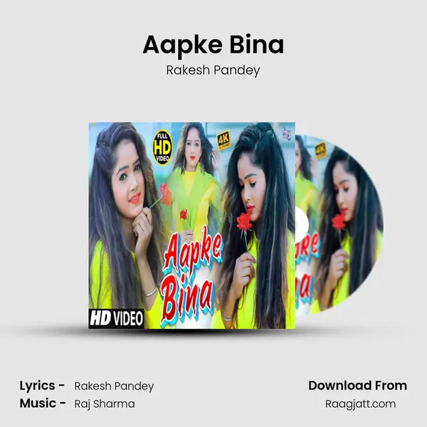 Aapke Bina - Rakesh Pandey album cover 