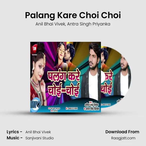 Palang Kare Choi Choi - Anil Bhai Vivek album cover 