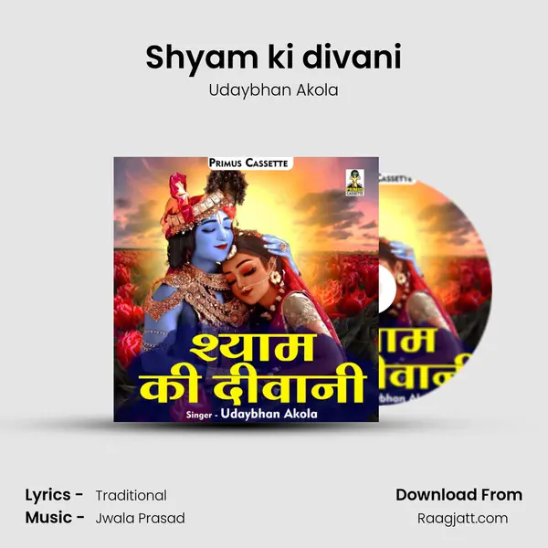 Shyam ki divani - Udaybhan Akola album cover 