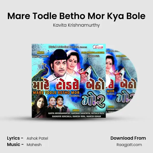 Mare Todle Betho Mor Kya Bole - Kavita Krishnamurthy album cover 