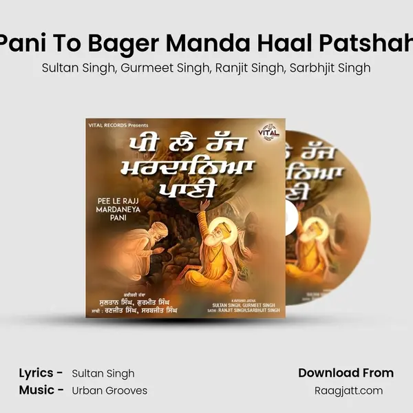 Pani To Bager Manda Haal Patshah - Sultan Singh album cover 