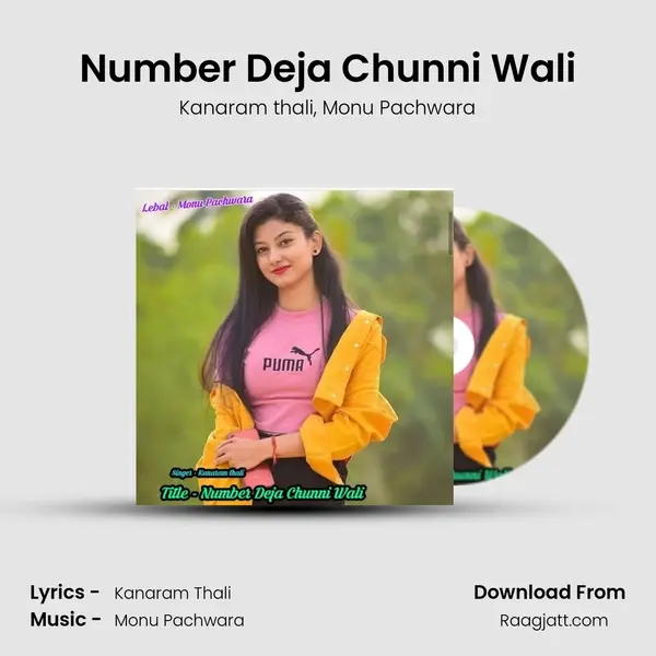 Number Deja Chunni Wali mp3 song