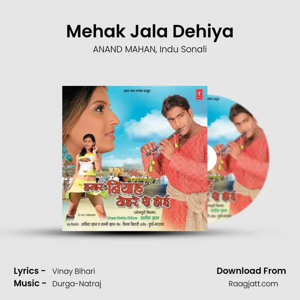 Mehak Jala Dehiya - ANAND MAHAN album cover 